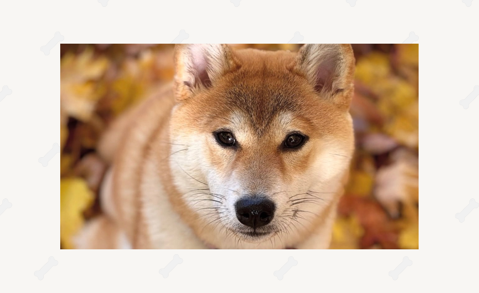 Missy & Jessi a David