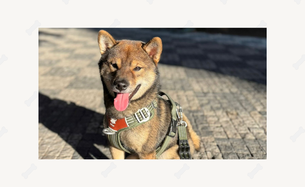 Fuji & Tereza a Ercan