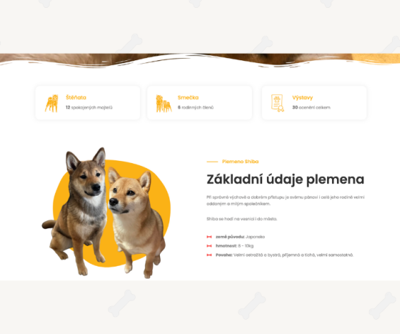 Nový web Prahan Ketut