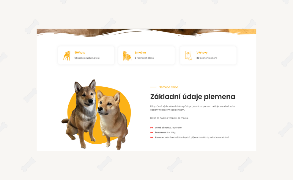 Nový web Prahan Ketut